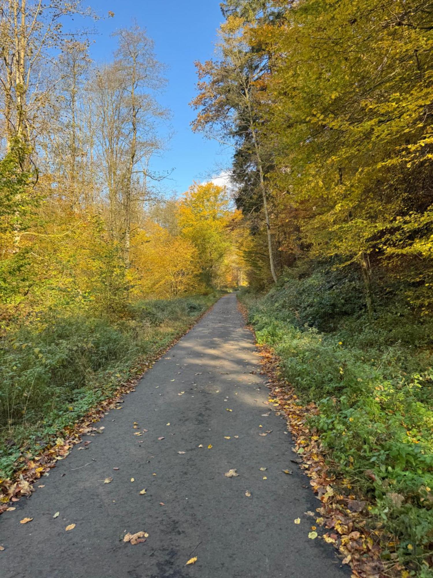 Berg-domizil Mit Eigenem Fahrradkeller Und Parkplatz, Inklusive Bettwaesche Und Handtuechern * Bad Lauterberg