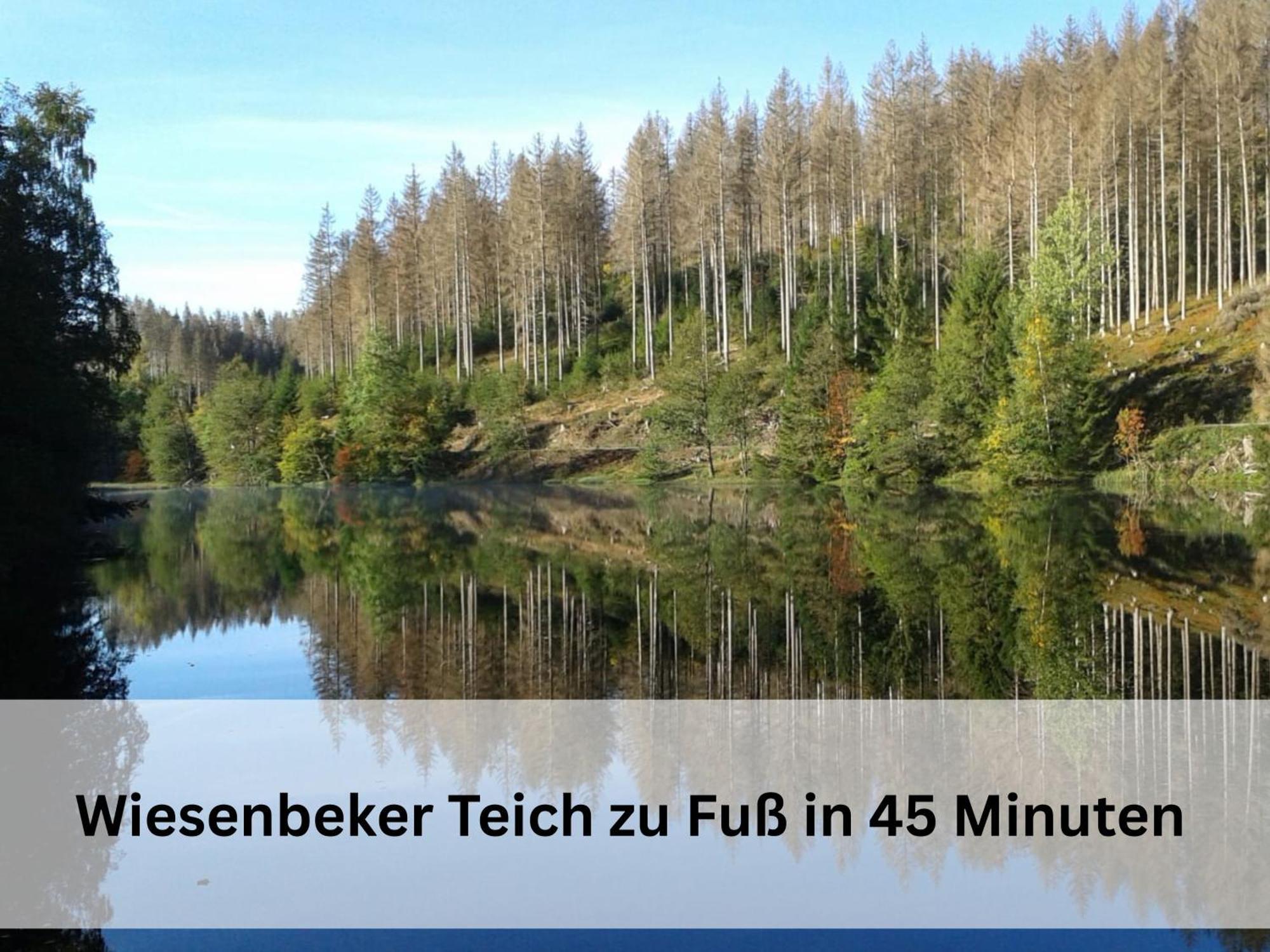 Berg-domizil Mit Eigenem Fahrradkeller Und Parkplatz, Inklusive Bettwaesche Und Handtuechern Appartement Bad Lauterberg