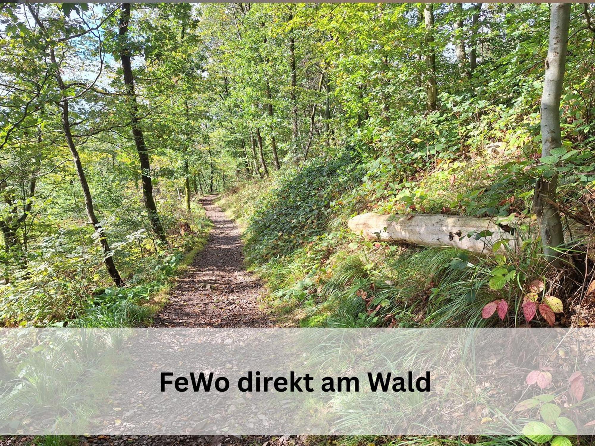 Appartement Berg-domizil Mit Eigenem Fahrradkeller Und Parkplatz, Inklusive Bettwaesche Und Handtuechern *